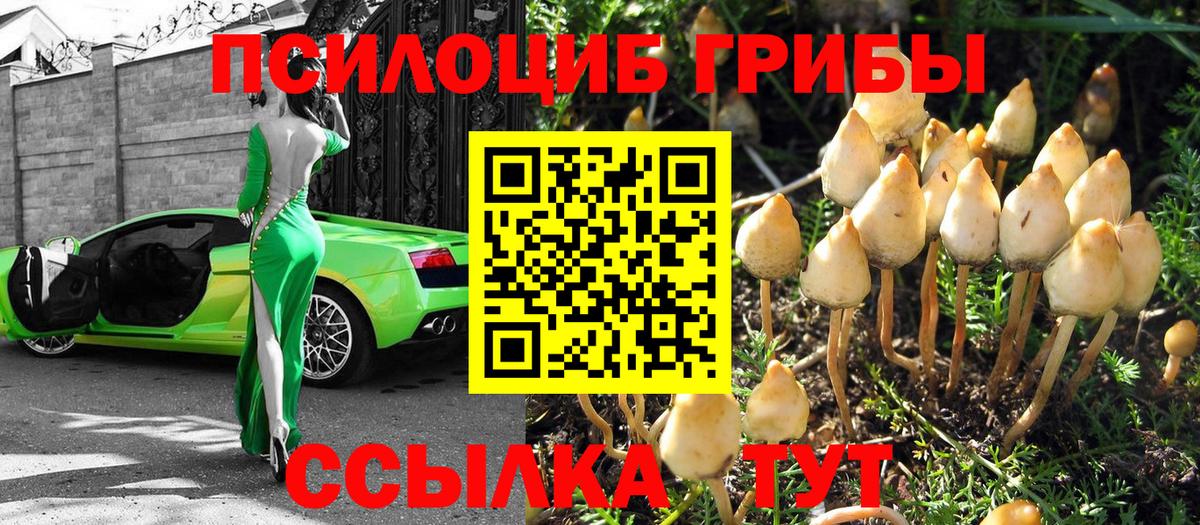 Тольятти  Галлюциногенные грибы Psilocybine cubensis  Вход с VPN  Галлюциногенные грибы ЛСД 