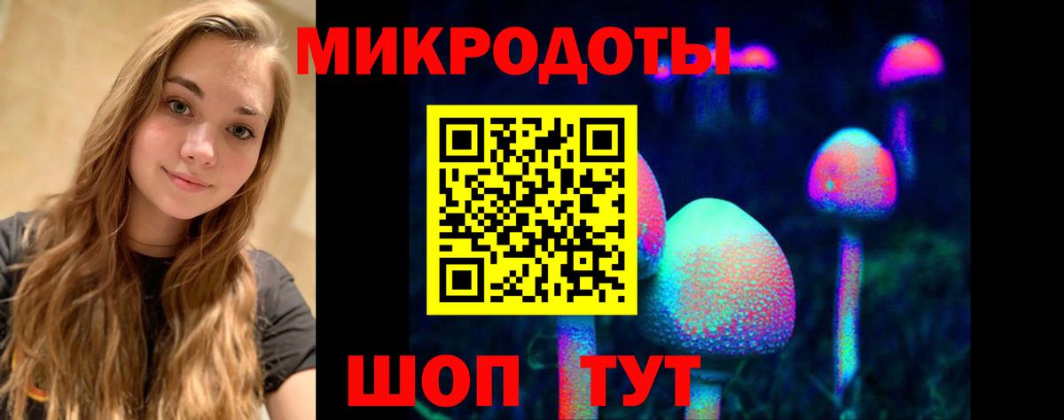 Галлюциногенные грибы Cubensis Тольятти